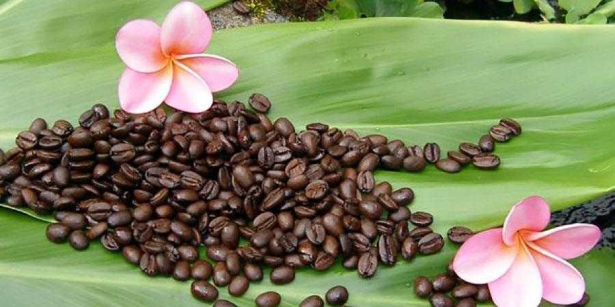 Hawaii Coffee: Pivotal Things You Need to Know