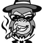 EStore Monkey Profile Picture